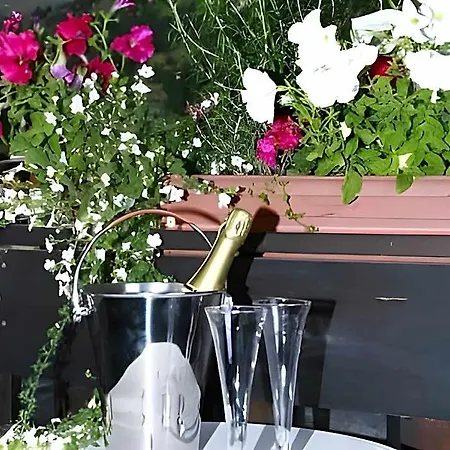 Patricia Self-Check-In Apartments & Spa Access At Alpen Resort 酒店 3*